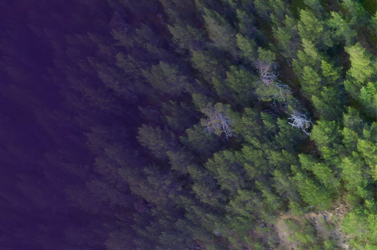 Klimarisiken verstehen und steuern – Perspektiven aus Beratung & Finanzwirtschaft