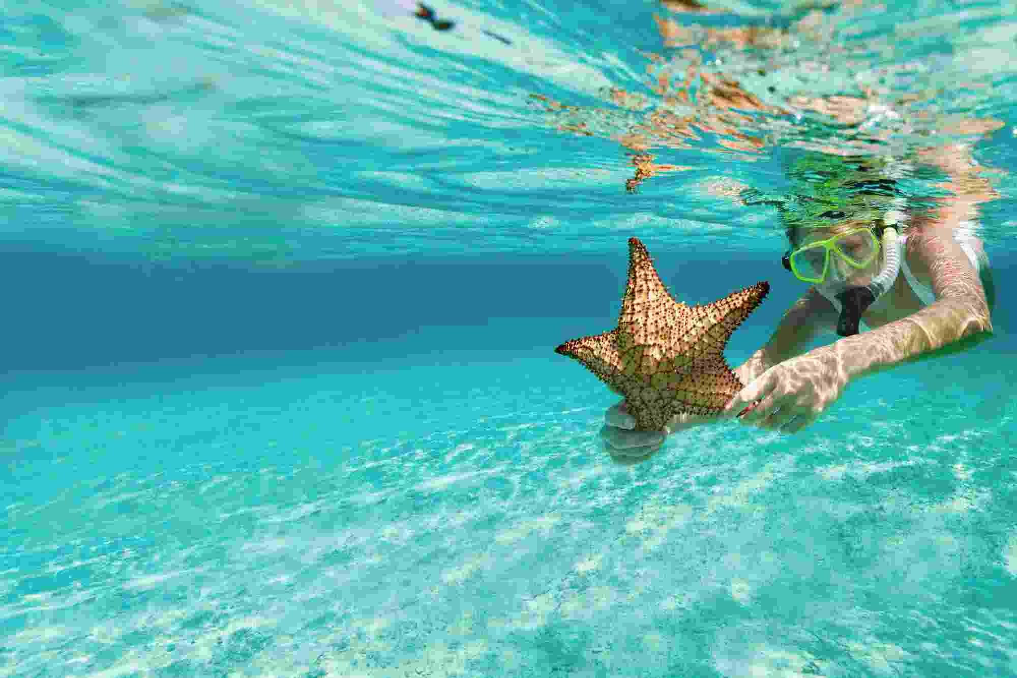 Reiseleistungen und Umsatzsteuer