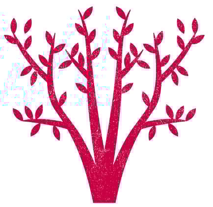 Änderungen bei der Offenlegung beim Firmenbuch