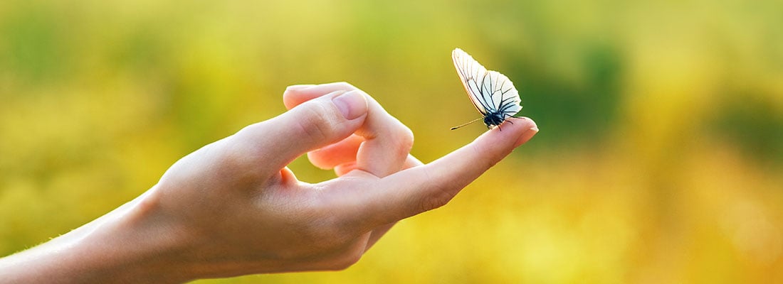 Sustainability insights