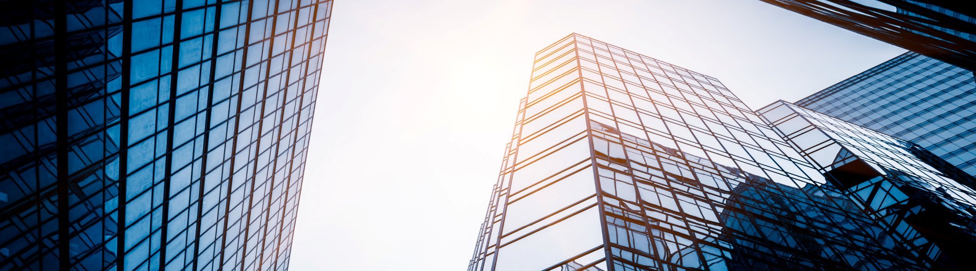 insight featured image