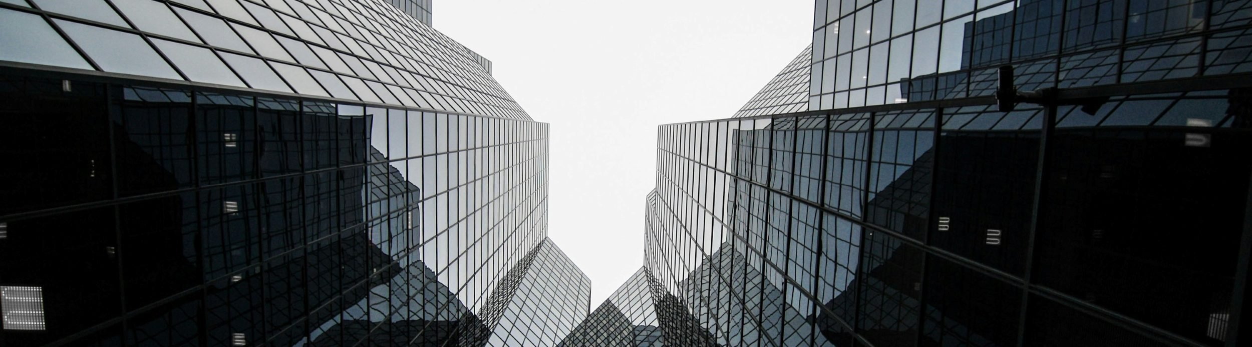 insight featured image