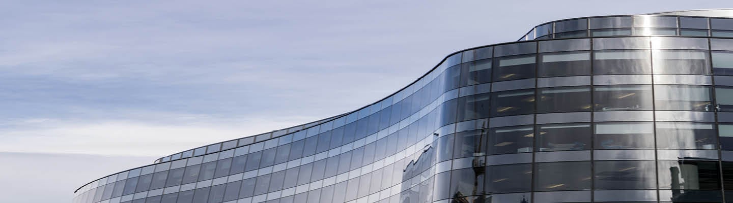 insight featured image