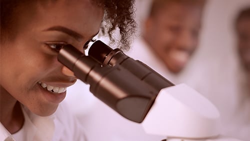 FoPR 2025: Neue Forschungsprämienrichtlinien im Begutachtungsentwurf