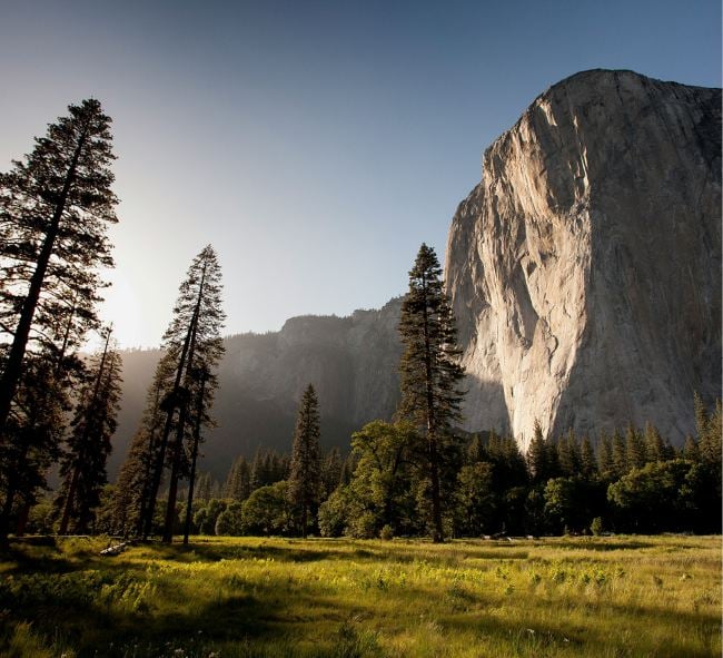 Neue ESG-Regulatorik: Was Unternehmen 2026 beachten müssen