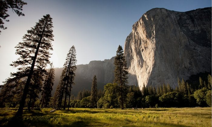 Neue ESG-Regulatorik: Was Unternehmen 2026 beachten müssen