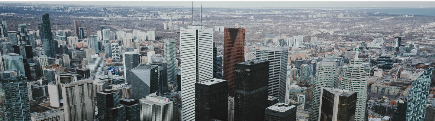 insight featured image