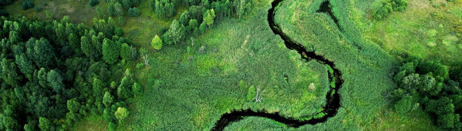 Von Compliance zu Commitment: Motiviert bleiben abseits von regulatorischen Anforderungen