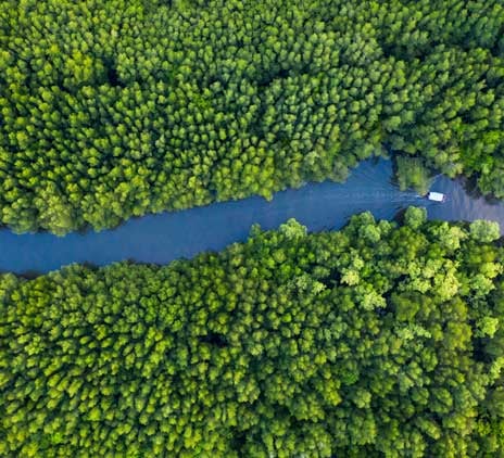 Sustainability Update Service | November 2025