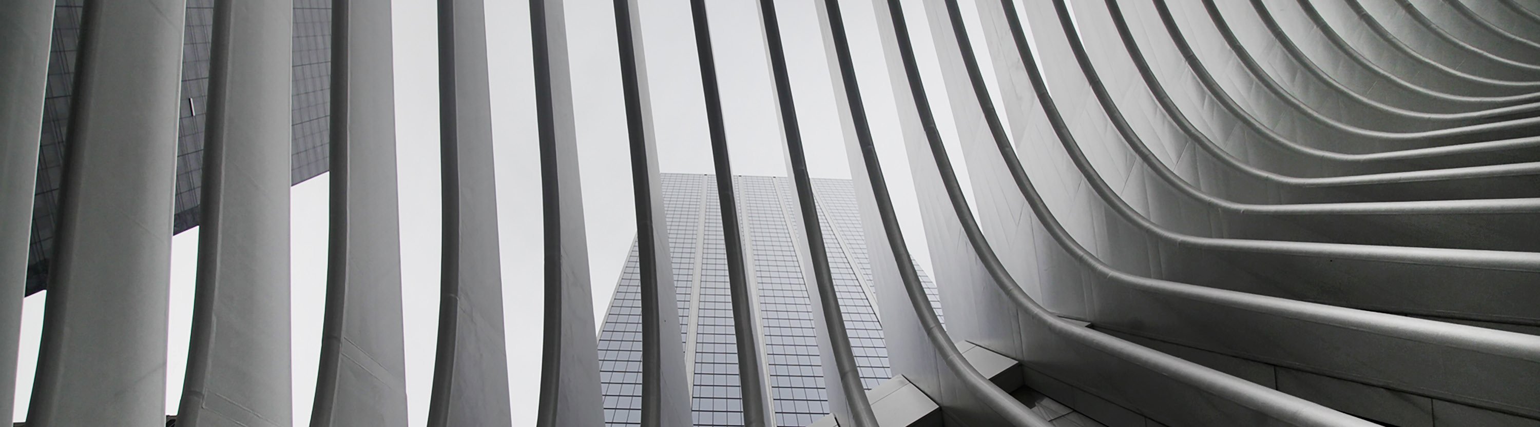 insight featured image