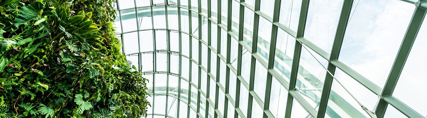 Grüne Bäume die von einem Glasdach überspannt werden
