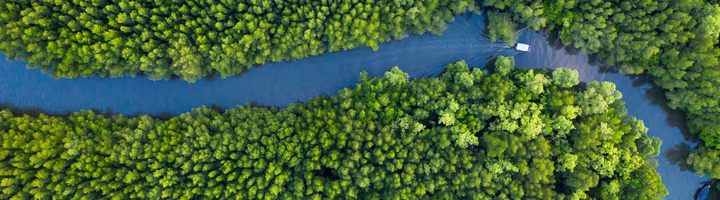 Fluss der sich durch einen Wald schlängelt, ein Boot fährt auf dem Fluss, fotografiert aus der Vogelperspektive 