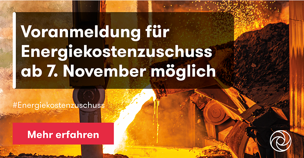 Energiekostenzuschuss-Update: Voranmeldung ab 7. November 2022 | Grant ...