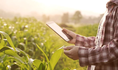 Sustainability: Richtlinie zur Nachhaltigkeitsberichterstattung (CSRD) ist im EU-Amtsblatt erschienen
