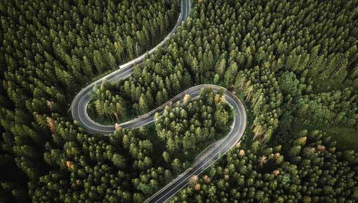 Dschungel von oben mit kurviger Stra&szlig;e