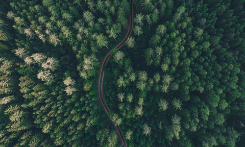 Sustainability: Das Wichtigste zu CSRD & ESRS auf einen Blick