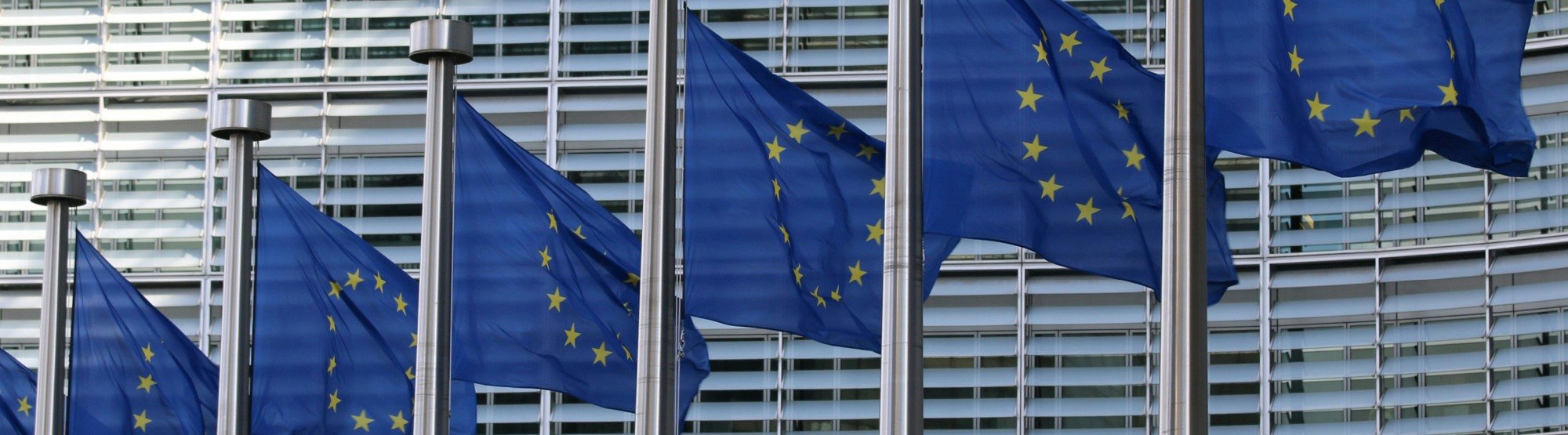 insight featured image