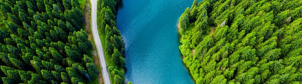 insight featured image