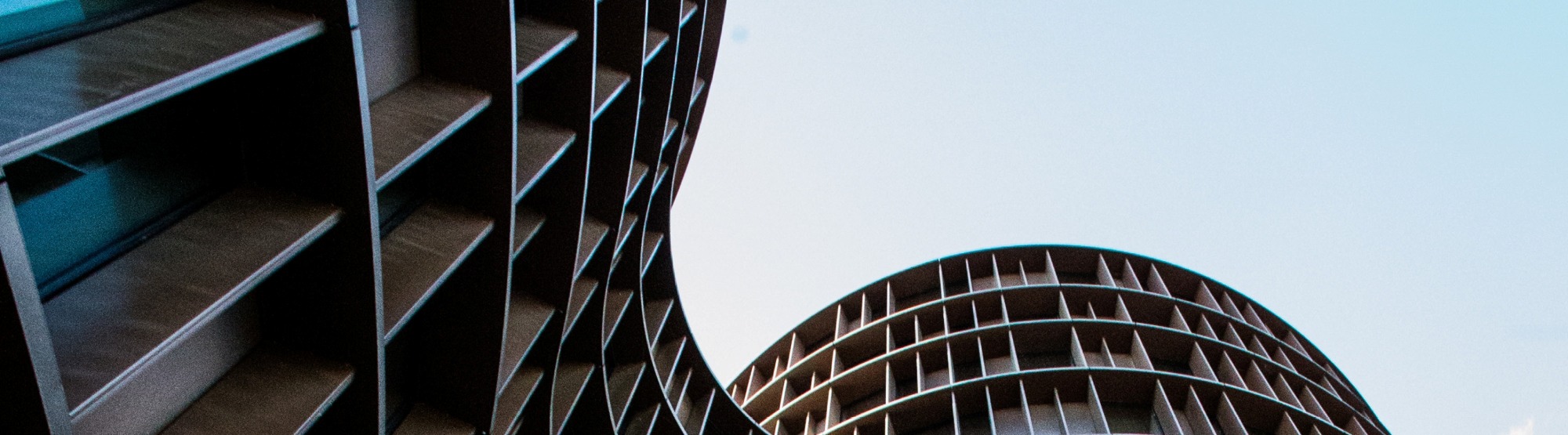 insight featured image