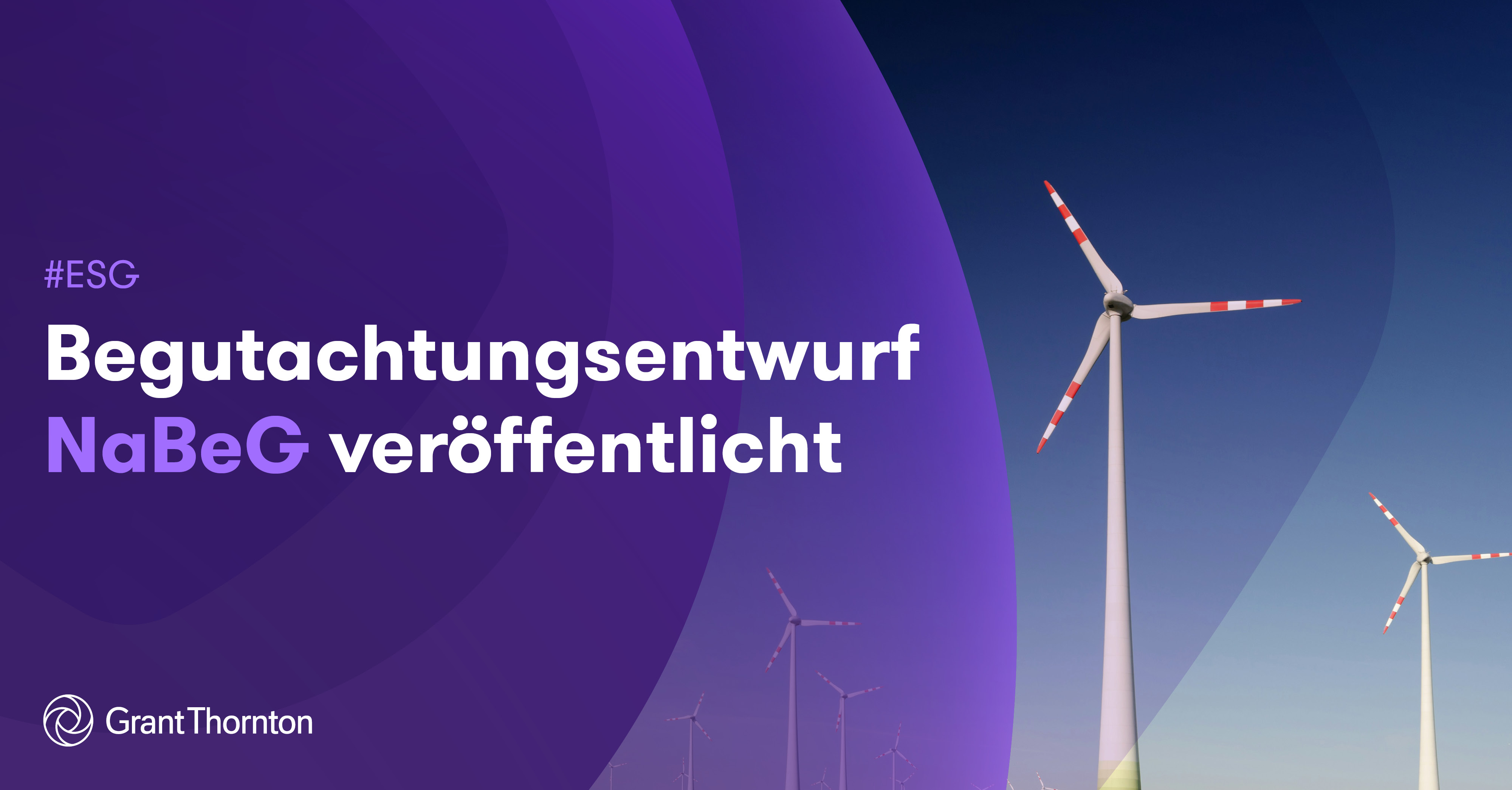 ESG Begutachtungsentwurf NaBeG Titelbild