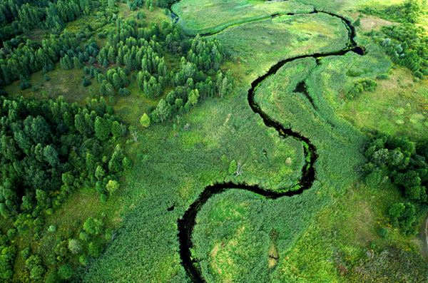 Von Compliance zu Commitment: Motiviert bleiben abseits von regulatorischen Anforderungen