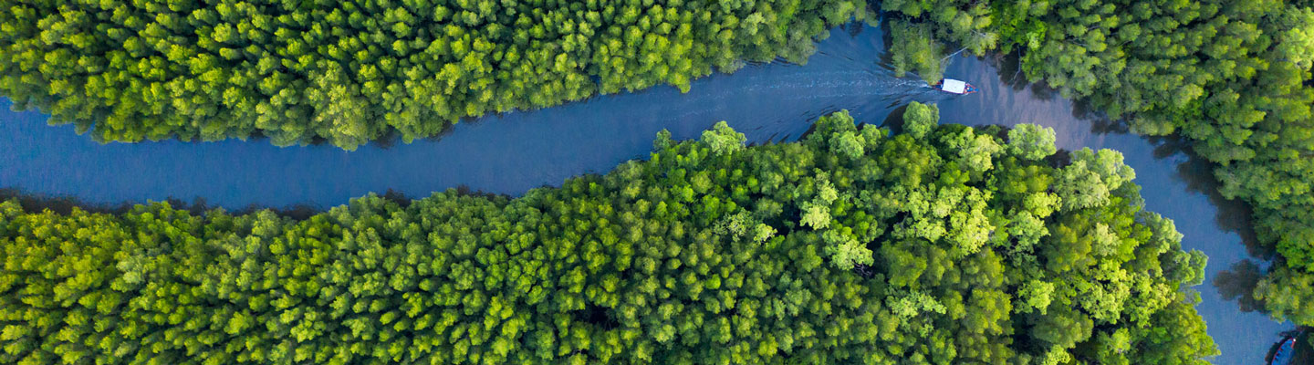 Fluss im Dschungel von Oben mit fahrendem Boot
