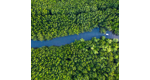 Sustainability Update Service | März 2024
