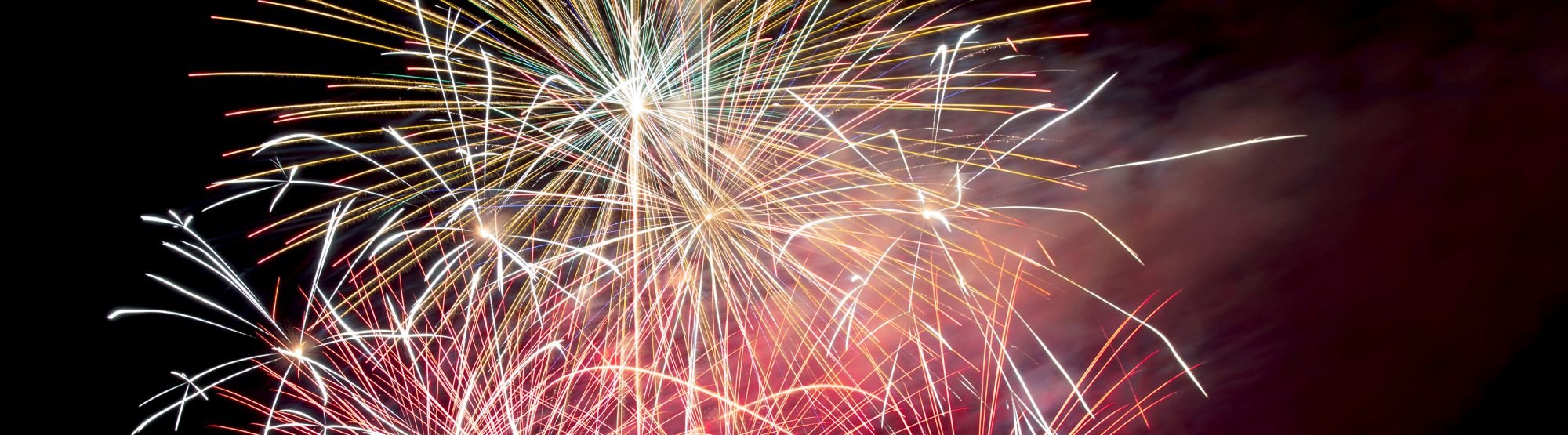 insight featured image